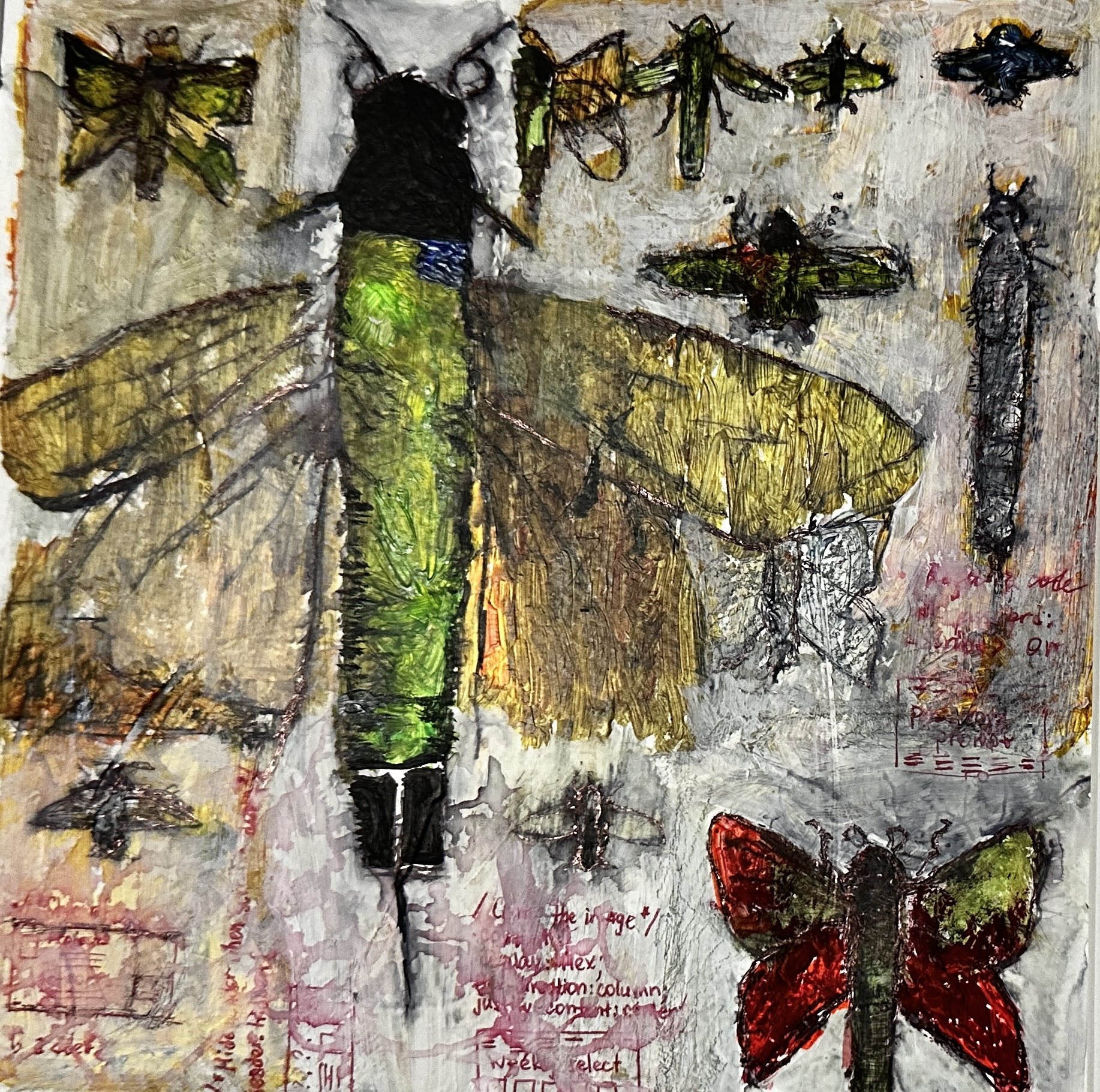 Insect Box 3
