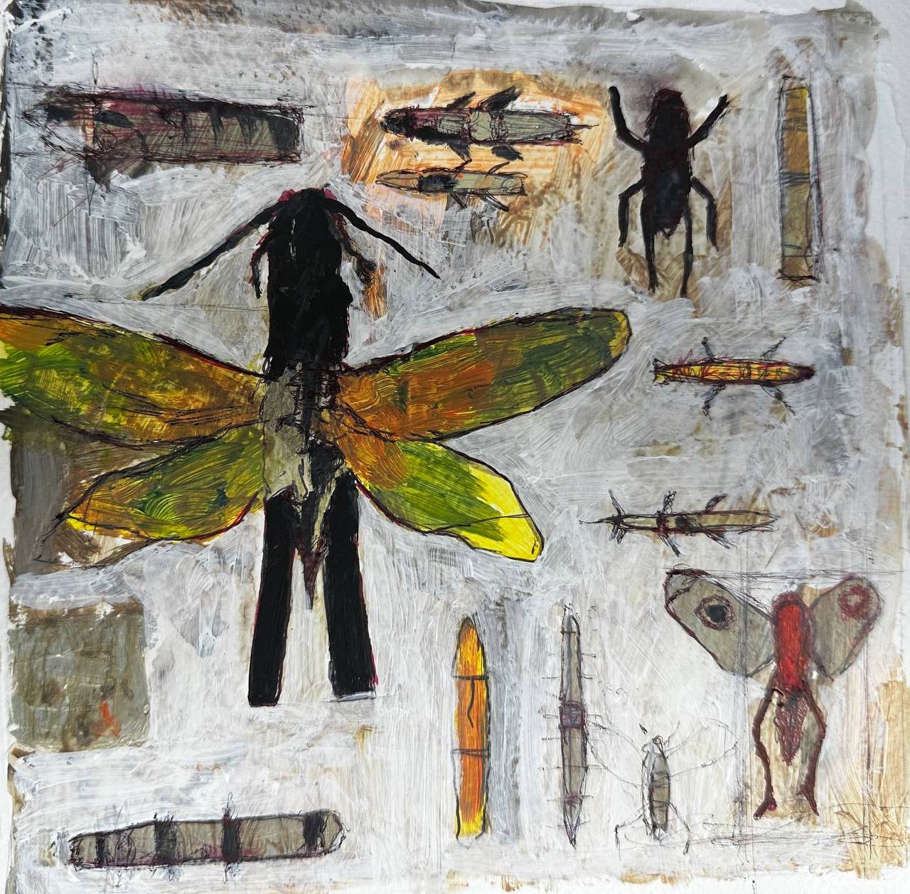 Insect Box 2