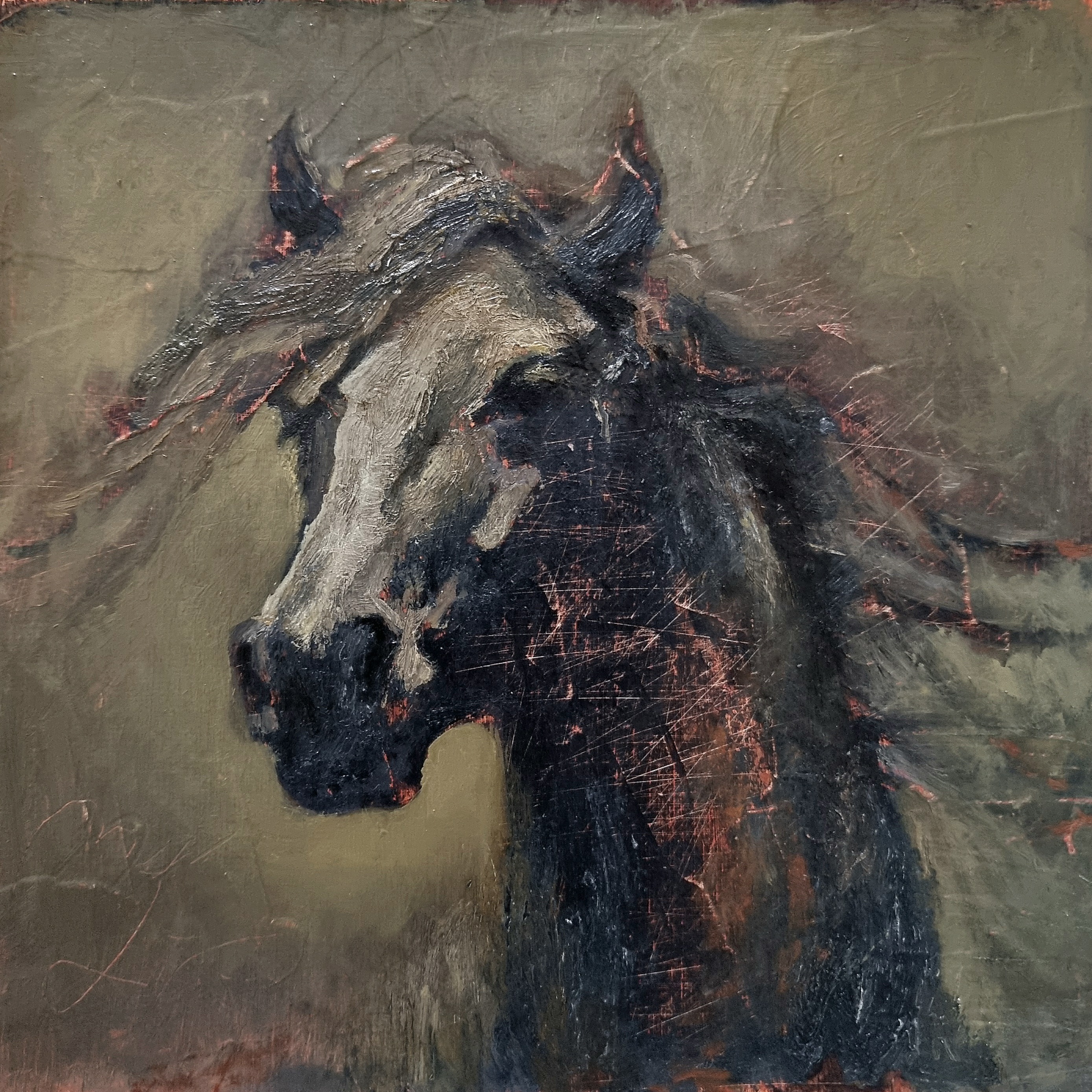 Horse 1