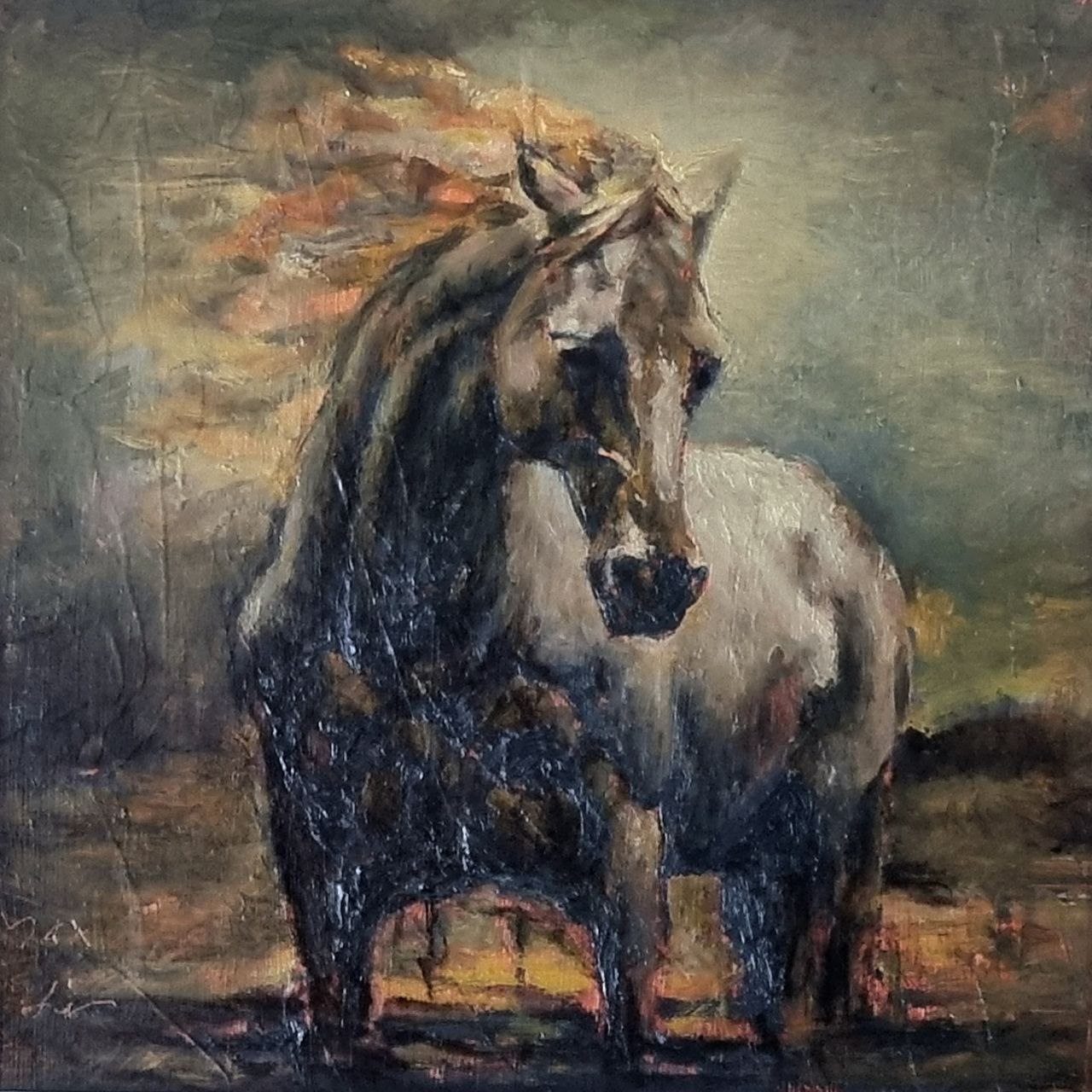 Horse 4